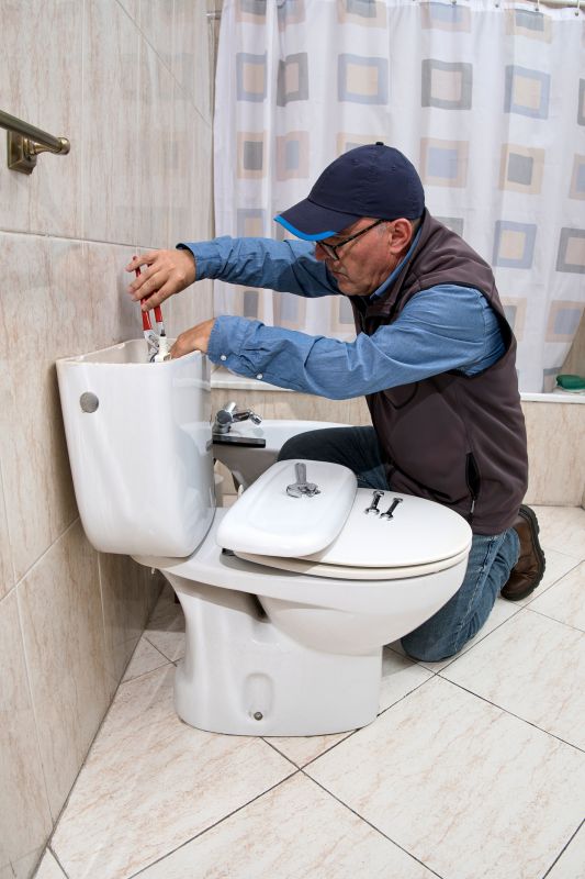 Toilet Installation Service detail